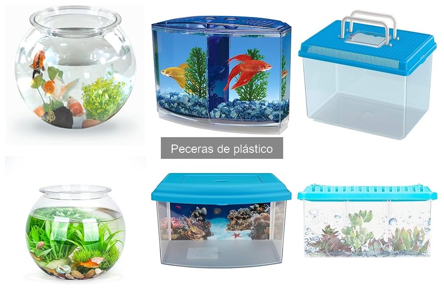 Alternativas a las peceras de plástico para acuarios domésticos