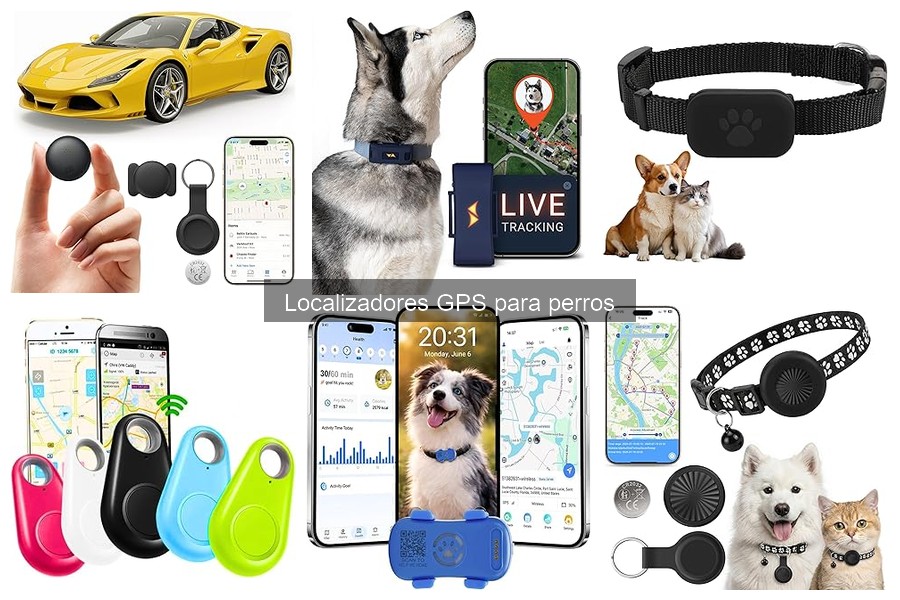 Alternativas a Localizadores GPS para Perros: Mejores Opciones