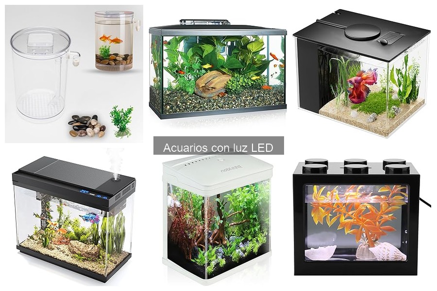 Alternativas a los acuarios con luz LED: pros y contras