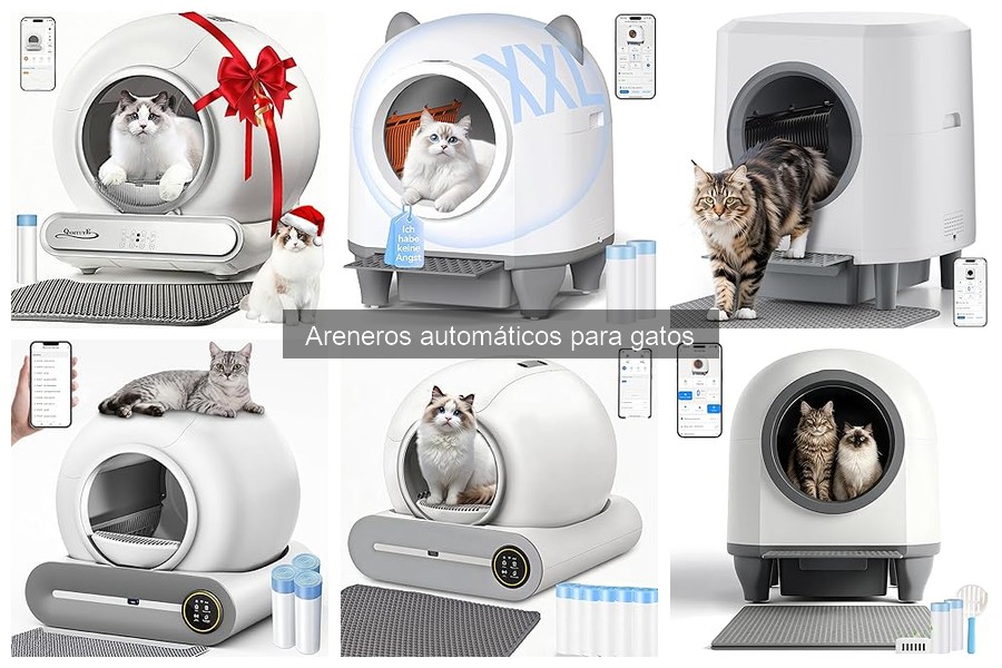 Alternativas a los areneros automáticos para gatos