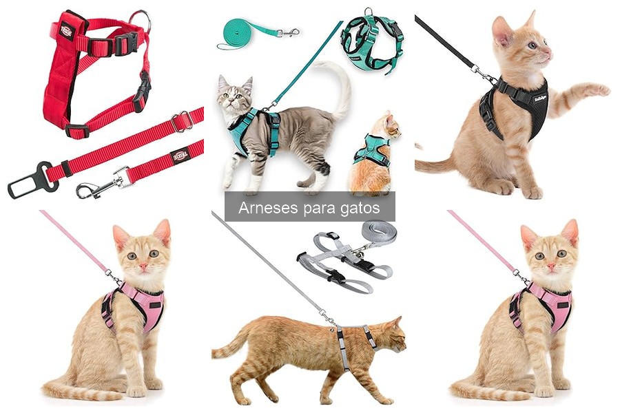 Alternativas a los Arneses para Gatos: Opciones Seguras