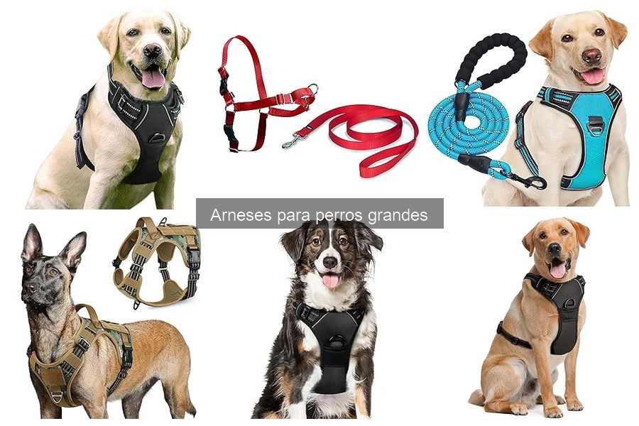 Alternativas a los arneses para perros grandes: pros y contras