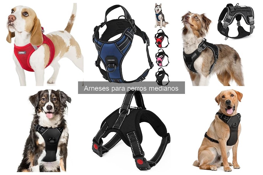 Alternativas a los arneses para perros medianos: ¡Descúbrelas!