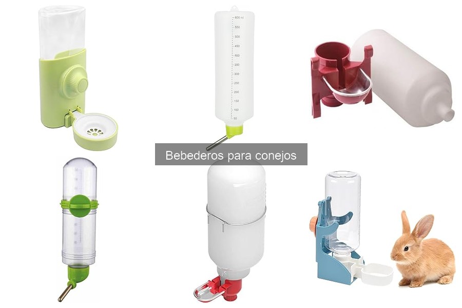 Alternativas a los Bebederos para Conejos: ¿Cuáles Son las Mejores?