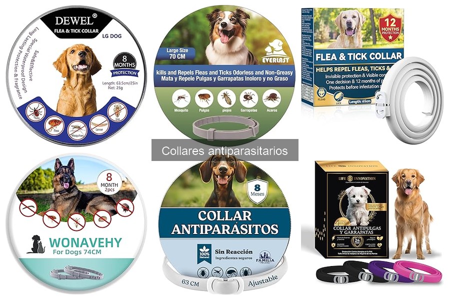 Alternativas a los Collares Antiparasitarios para Mascotas