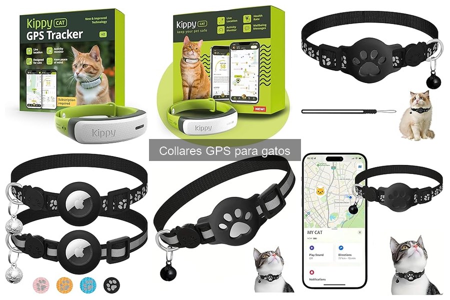 Alternativas a los collares GPS para gatos: descubre otras opciones