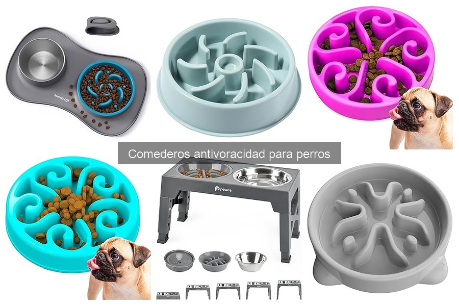 Alternativas a los comederos antivoracidad para perros