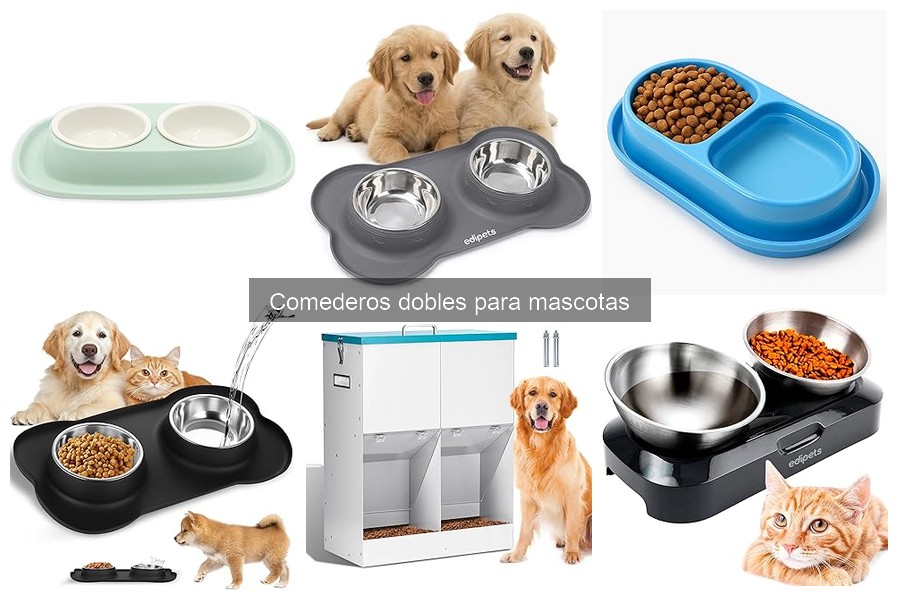 Alternativas a los comederos dobles para mascotas