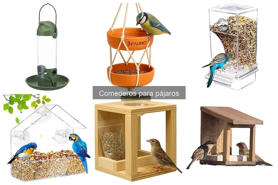 Alternativas a los Comederos para Pájaros: Opciones Naturales