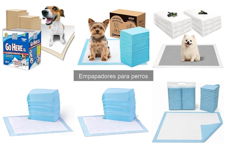 Alternativas a los empapadores para perros: Mejoras para tu hogar