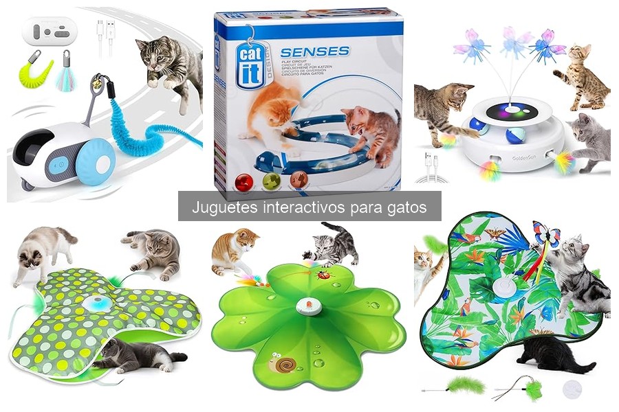 Alternativas a los Juguetes Interactivos para Gatos