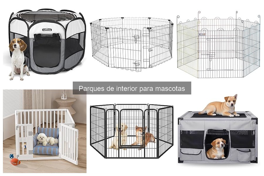 Alternativas a los parques de interior para mascotas