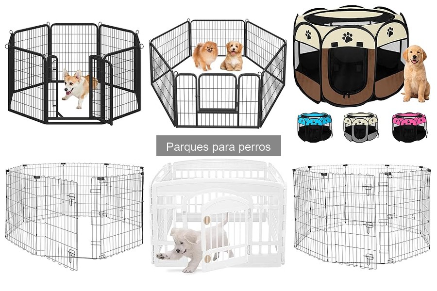 Alternativas a los parques para perros: opciones efectivas