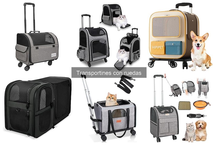 Alternativas a los Transportines con Ruedas para Mascotas