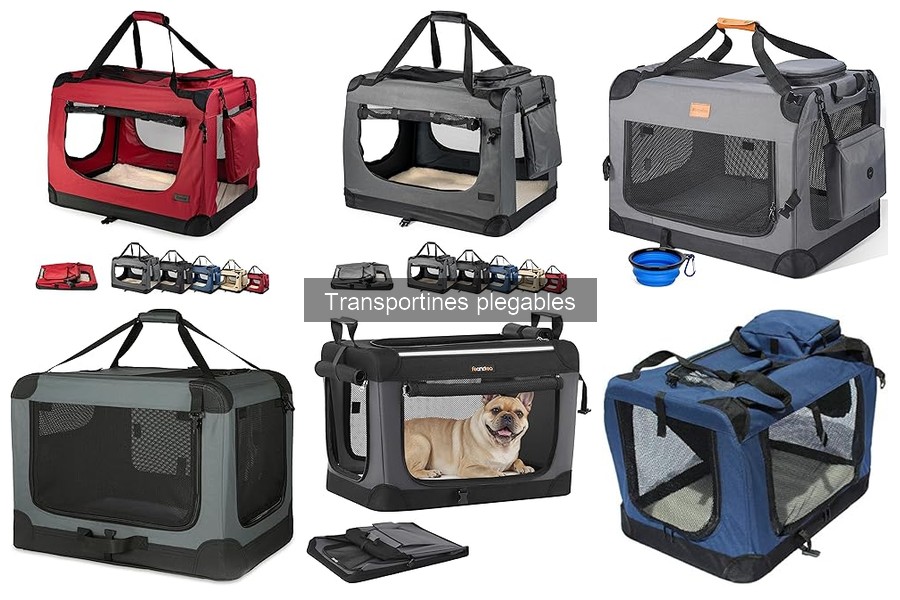 Alternativas a los transportines plegables para mascotas