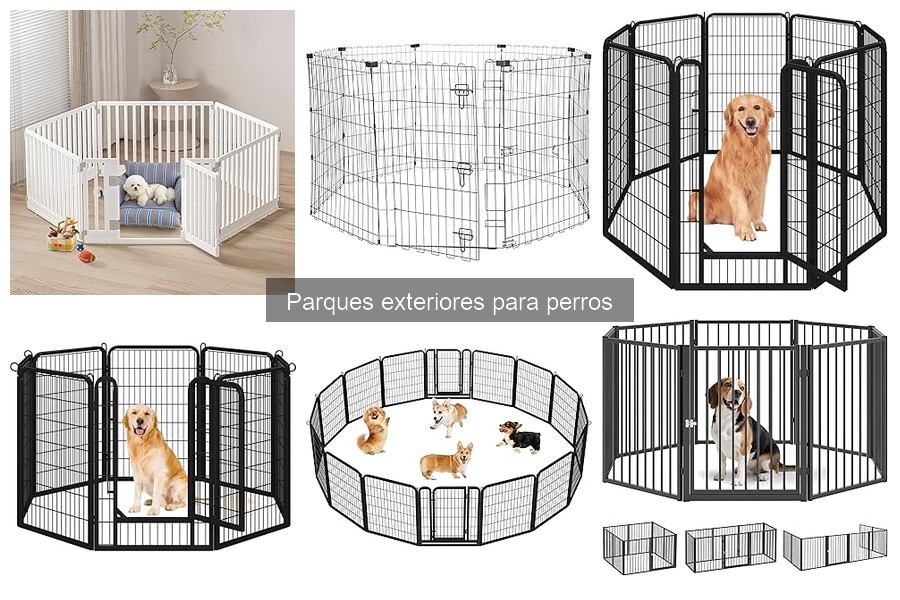 Alternativas a Parques Exteriores para Perros: Opciones Efectivas