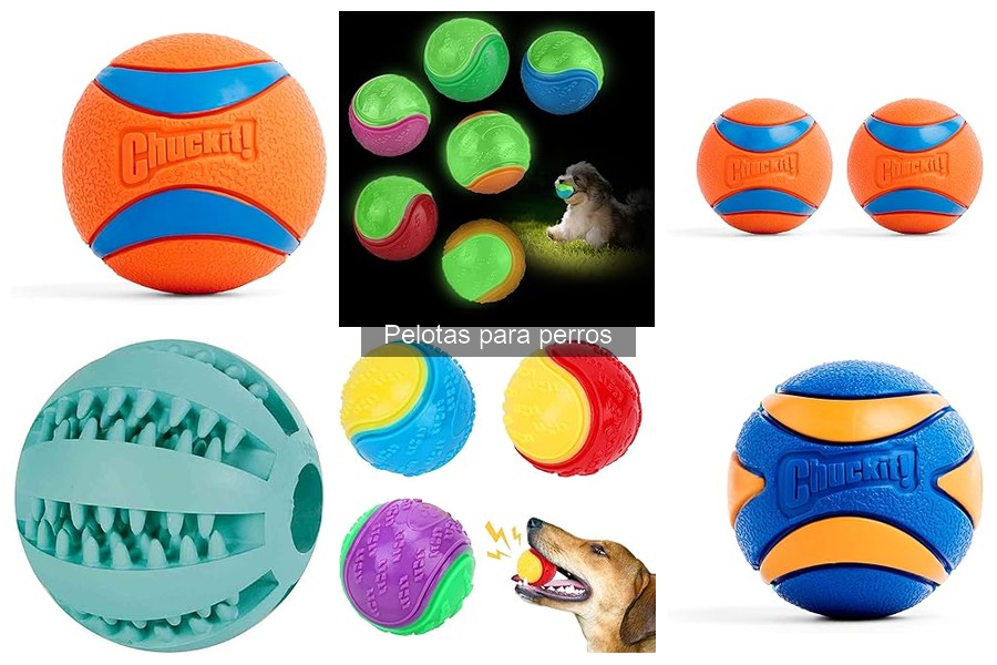 Alternativas a pelotas para perros que no las aceptan