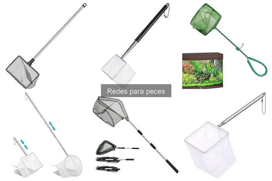 Alternativas a Redes para Peces: Métodos de Captura Efectivos