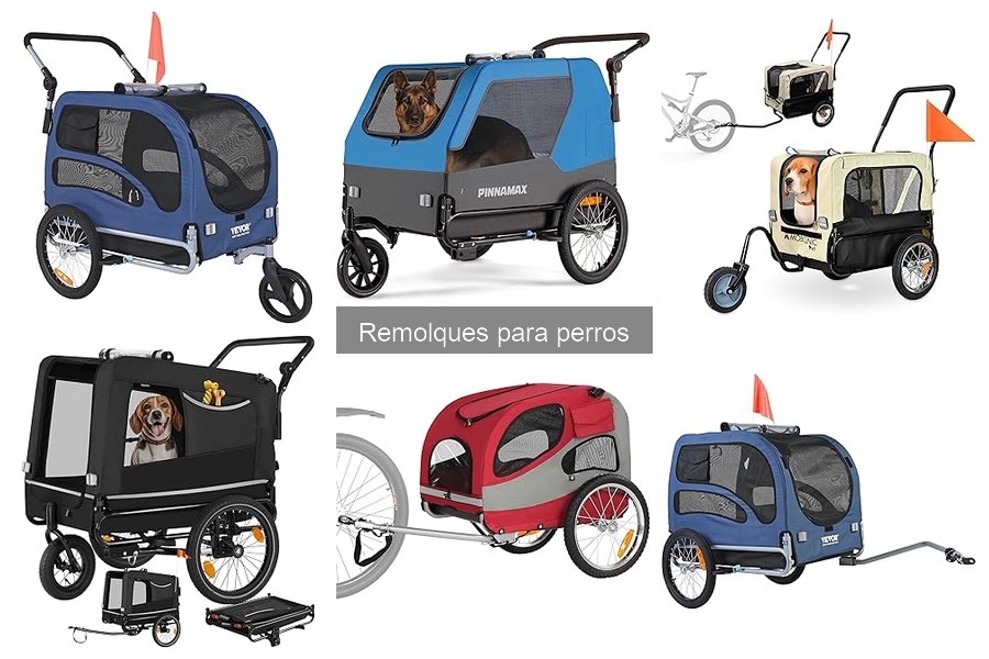 Alternativas a remolques para perros: opciones de transporte