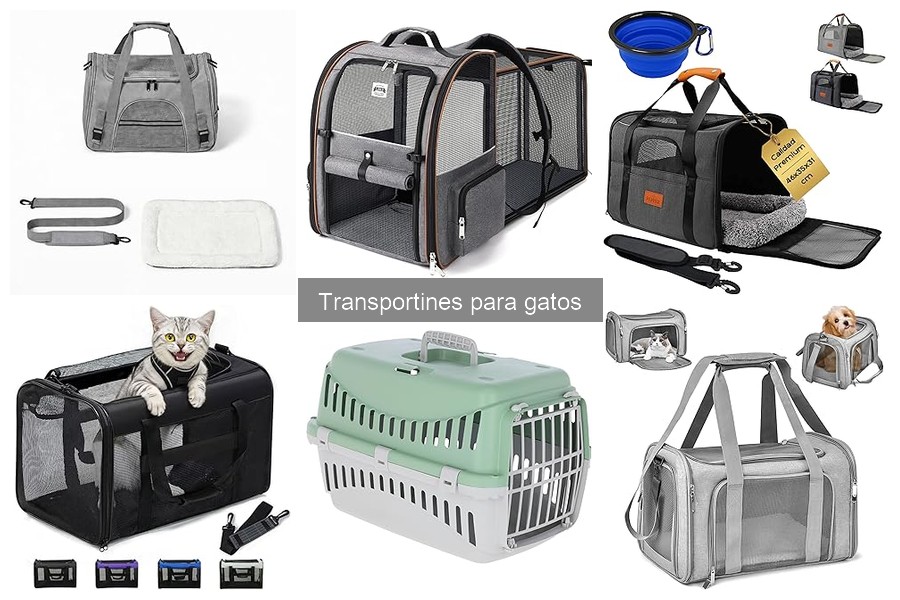 Alternativas a Transportines para Gatos: Opciones Viables