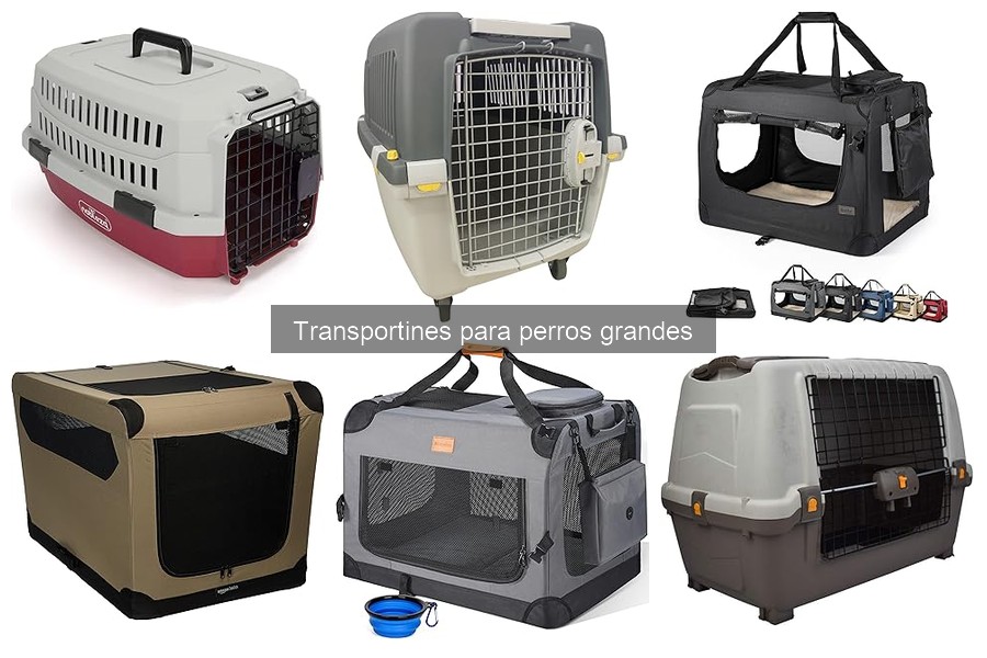 Alternativas a Transportines para Perros Grandes: Opciones Efectivas