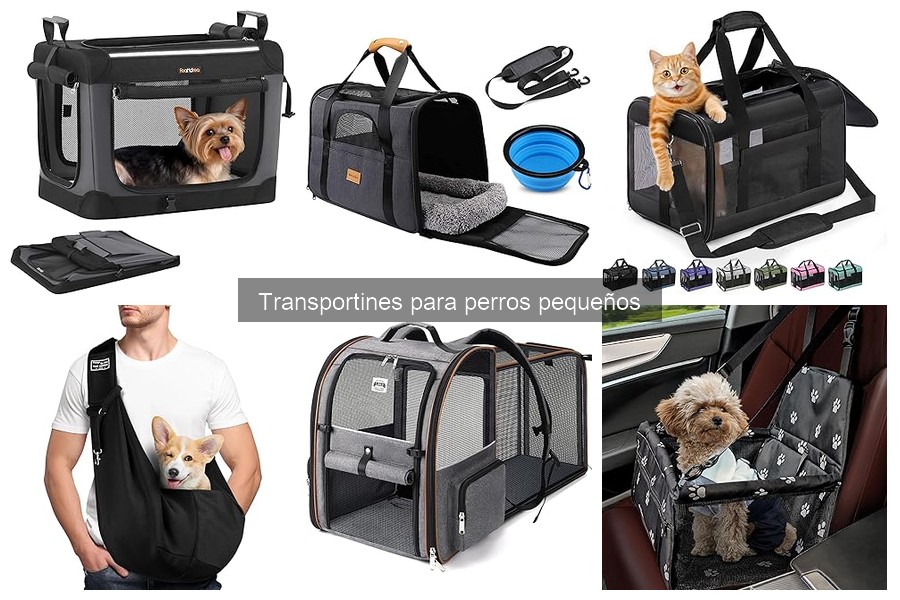 Alternativas a Transportines para Perros Pequeños: ¡Descúbrelas!