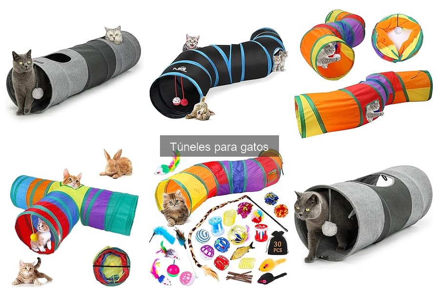 Alternativas a Túneles para Gatos: Opciones Divertidas