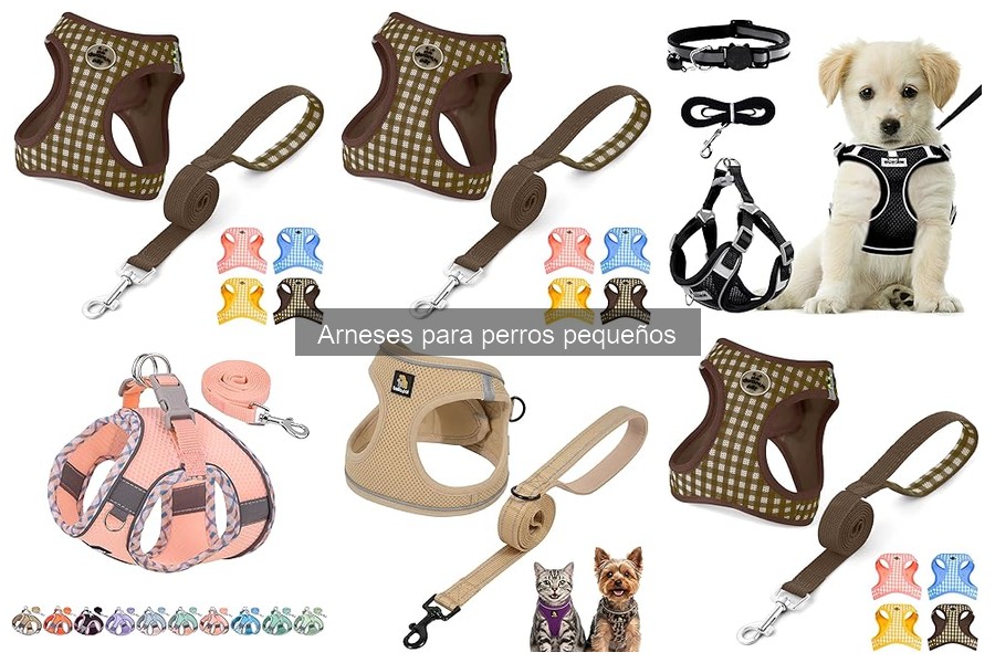 Alternativas al Arnés para Perros Pequeños: Opciones Útiles