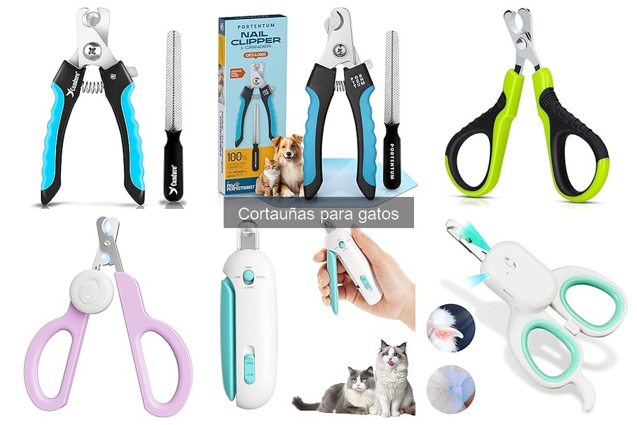 Alternativas al cortauñas para gatos: Cuida sus uñas