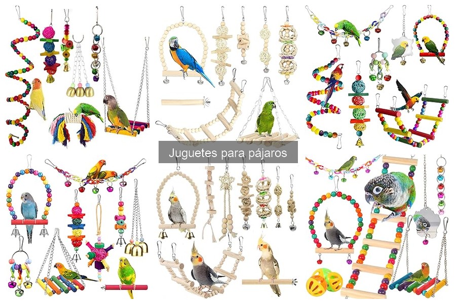 Alternativas caseras a juguetes comerciales para pájaros