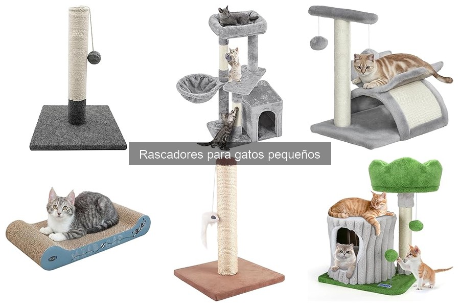 Alternativas creativas a rascadores para gatos pequeños