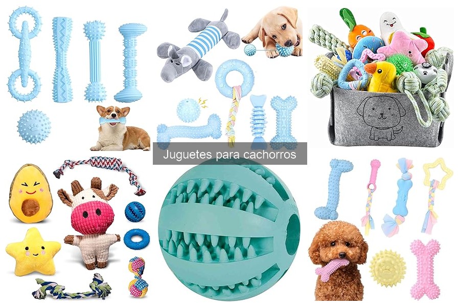 Alternativas ecológicas a juguetes de plástico para cachorros