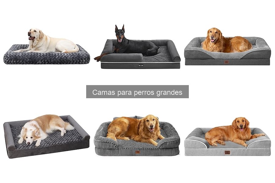 Alternativas económicas a camas para perros grandes