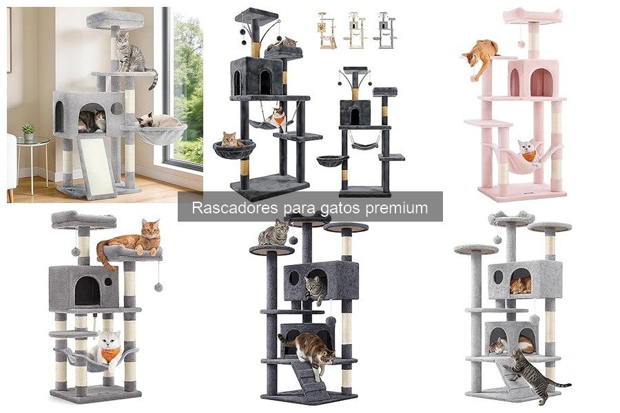Alternativas económicas a los rascadores premium para gatos