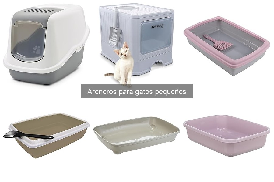 Alternativas Innovadoras a Areneros para Gatos Pequeños