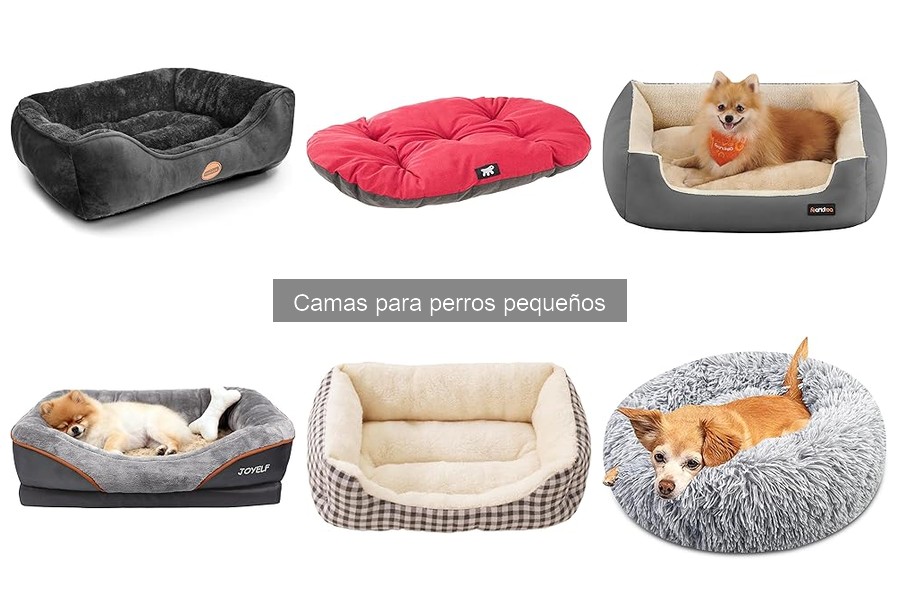 Alternativas Innovadoras a Camas para Perros Pequeños