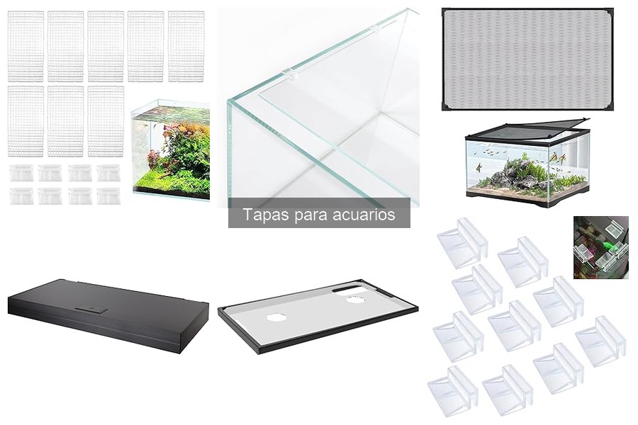 Alternativas Innovadoras a las Tapas para Acuarios