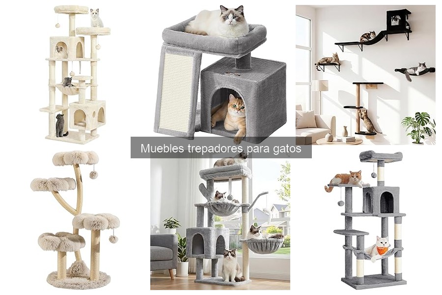 Alternativas innovadoras a los muebles trepadores para gatos