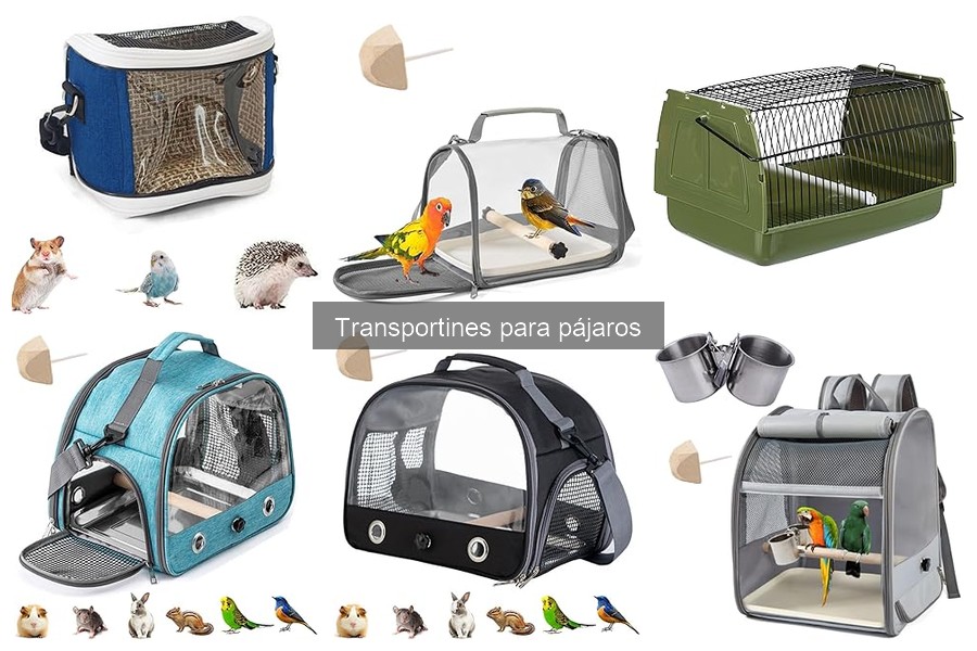 Alternativas Innovadoras a Transportines para Pájaros