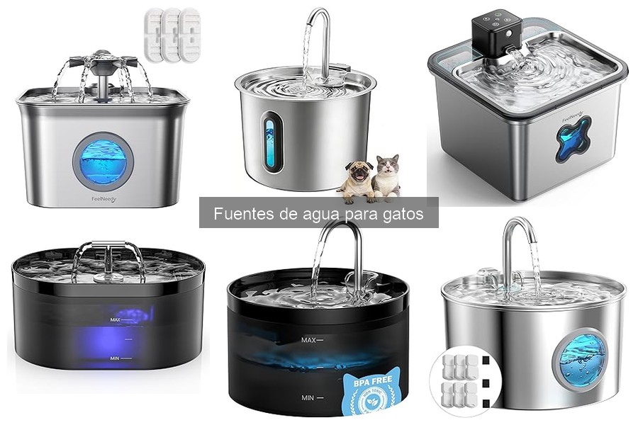 Alternativas Naturales a Fuentes de Agua para Gatos