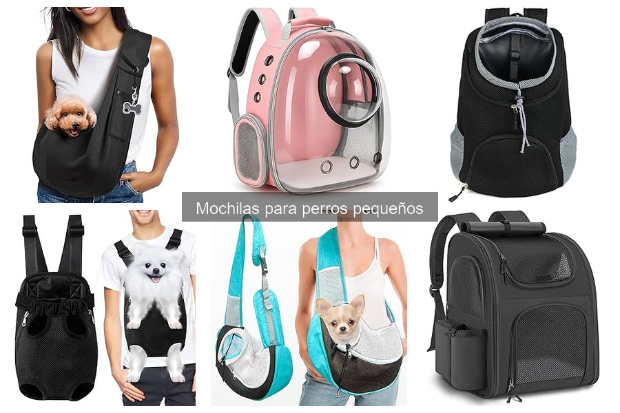 Alternativas para transportar perros pequeños: carritos y más