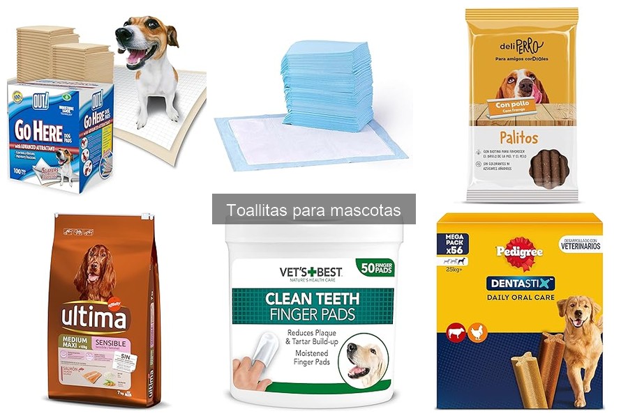 Aplicaciones de toallitas para gatos: ¡cuidados fáciles!