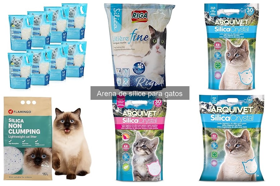 Arena de sílice para gatos: ¿Qué es y sus beneficios?