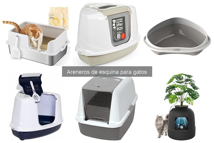 Areneros de esquina vs. areneros tradicionales: diferencias clave