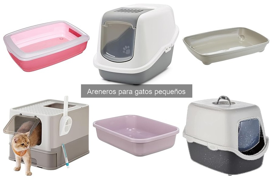 Areneros para gatos pequeños baratos: dónde comprarlos