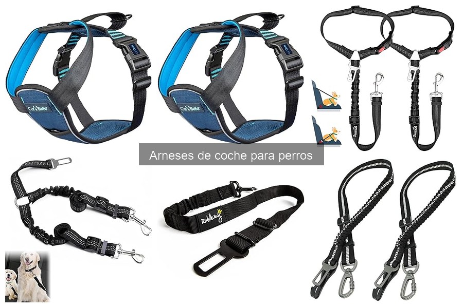 Arnés de coche para perros pequeños: características y beneficios
