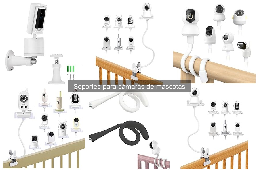 Aspectos clave al usar soportes para cámaras de mascotas
