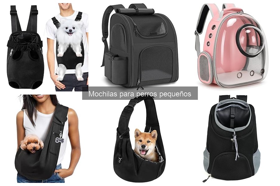 Aspectos Legales sobre Mochilas para Perros Pequeños
