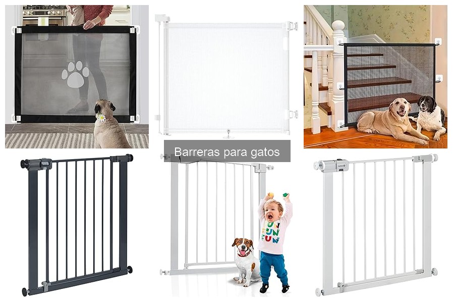 Barreras para gatos según edad y comportamiento