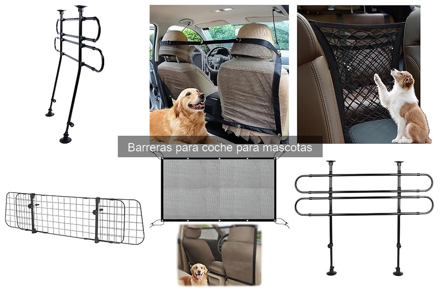 Barreras para mascotas en coches: ¿cuál es la mejor opción?